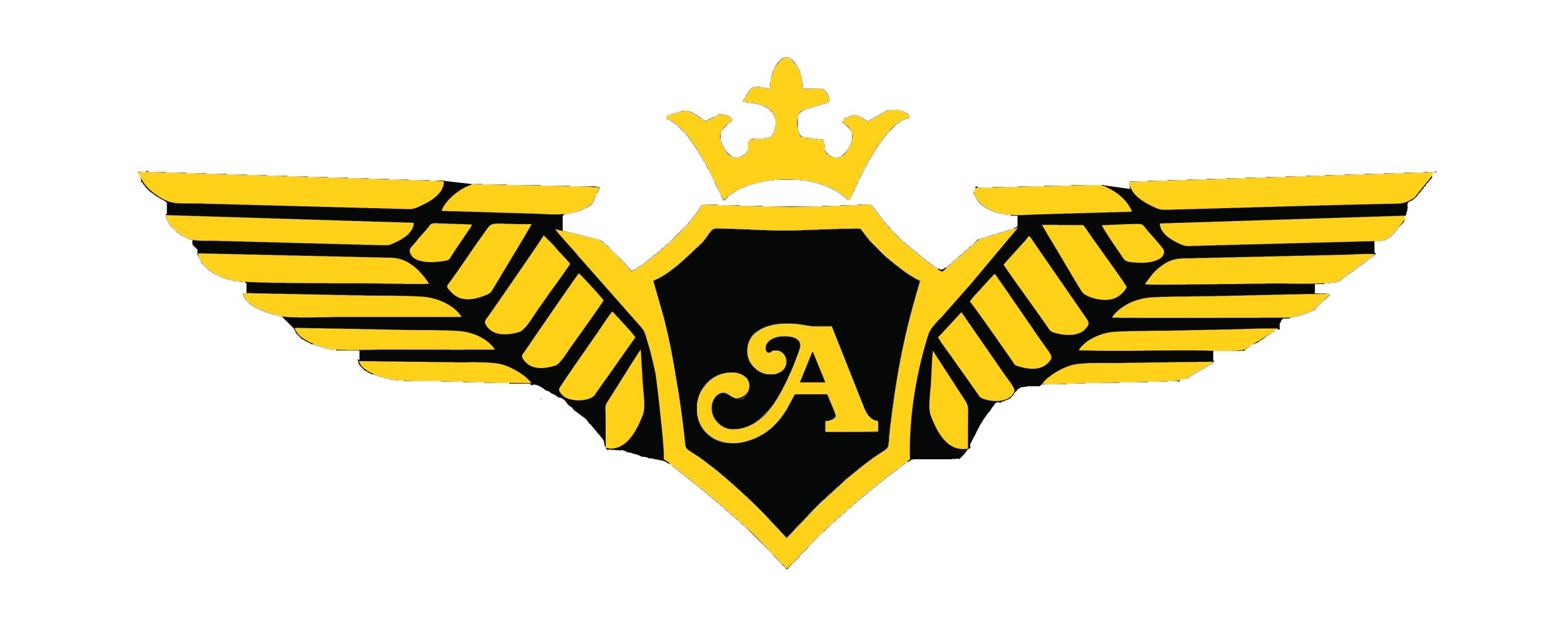 Aaraoverseas